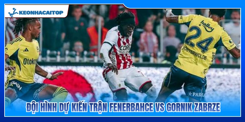 Dự kiến lực lượng ra sân của Fenerbahce vs Gornik Zabrze