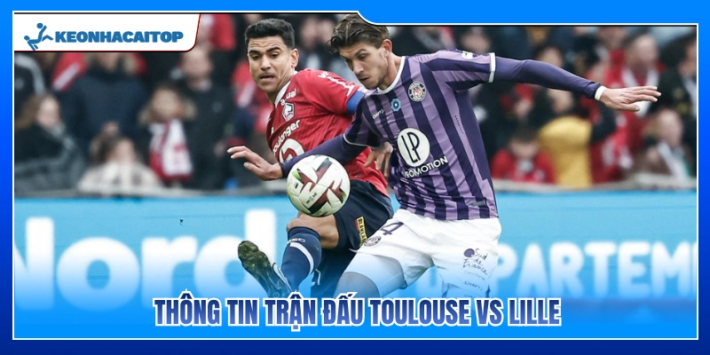 Thông tin trước giờ bóng lăn Toulouse vs Lille